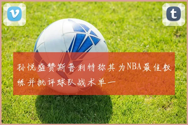 孙悦盛赞斯普利特称其为NBA最佳教练并批评球队战术单一
